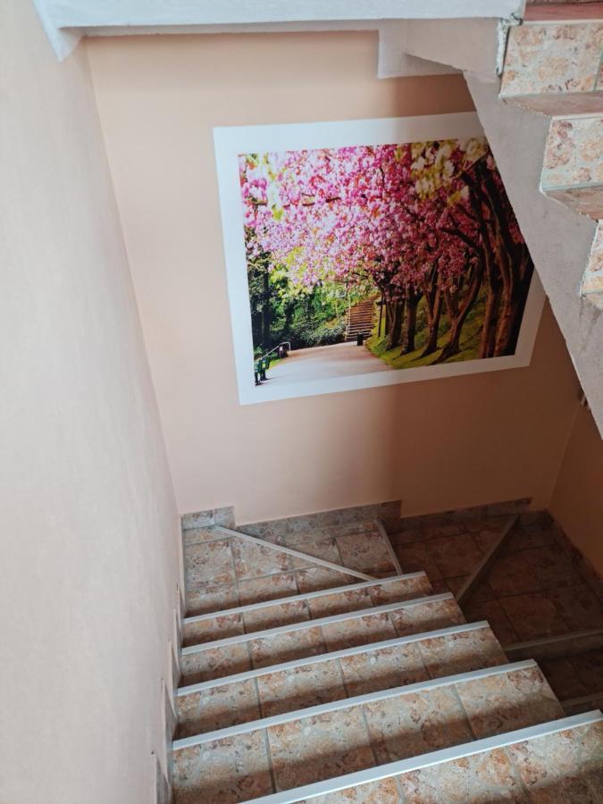 Apartman'S Ana Pale-Oc Jahorina No.2 ภายนอก รูปภาพ